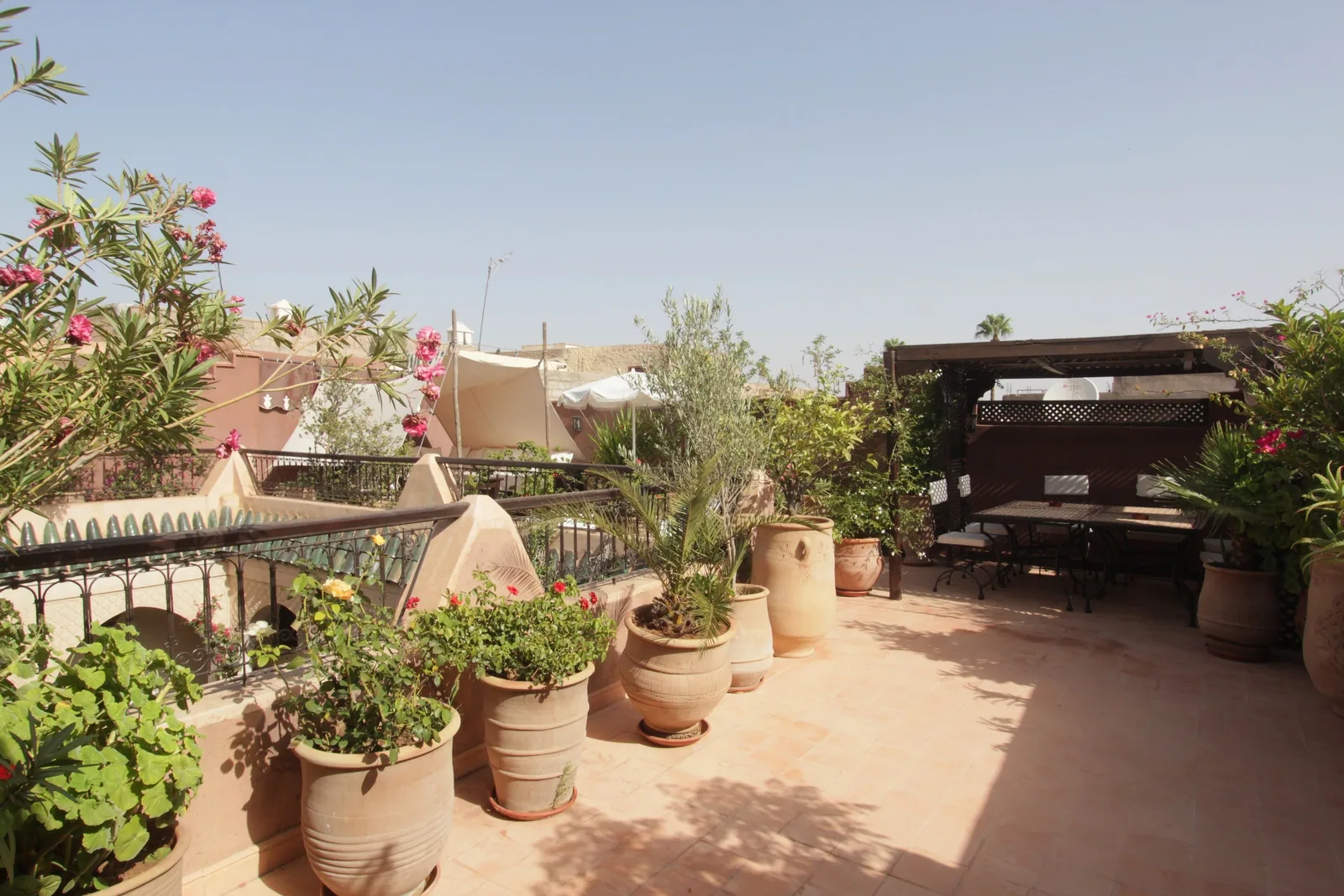 La terrasse plantée sur le toit du Riad Massiba
